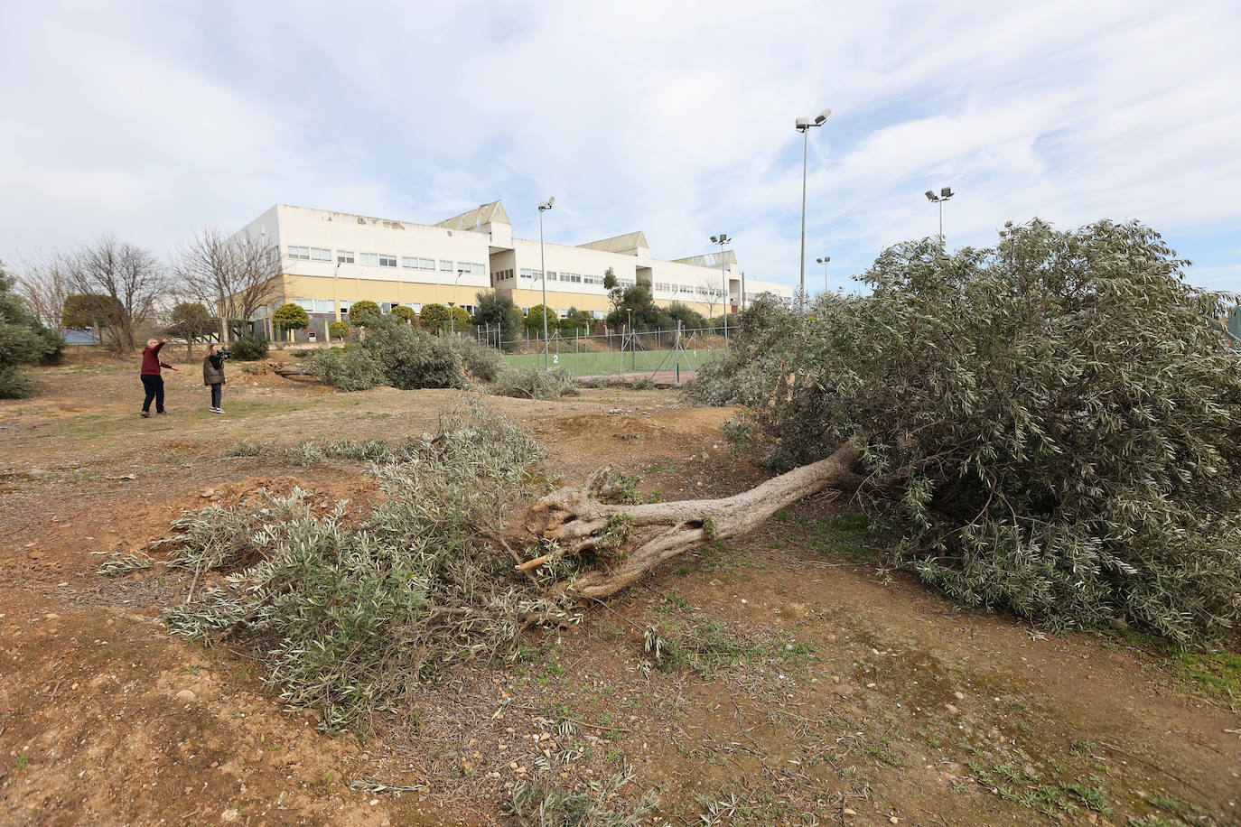 Fotos: en imágenes, los destrozos del tornado en las instalaciones de Ucodeporte en Córdoba