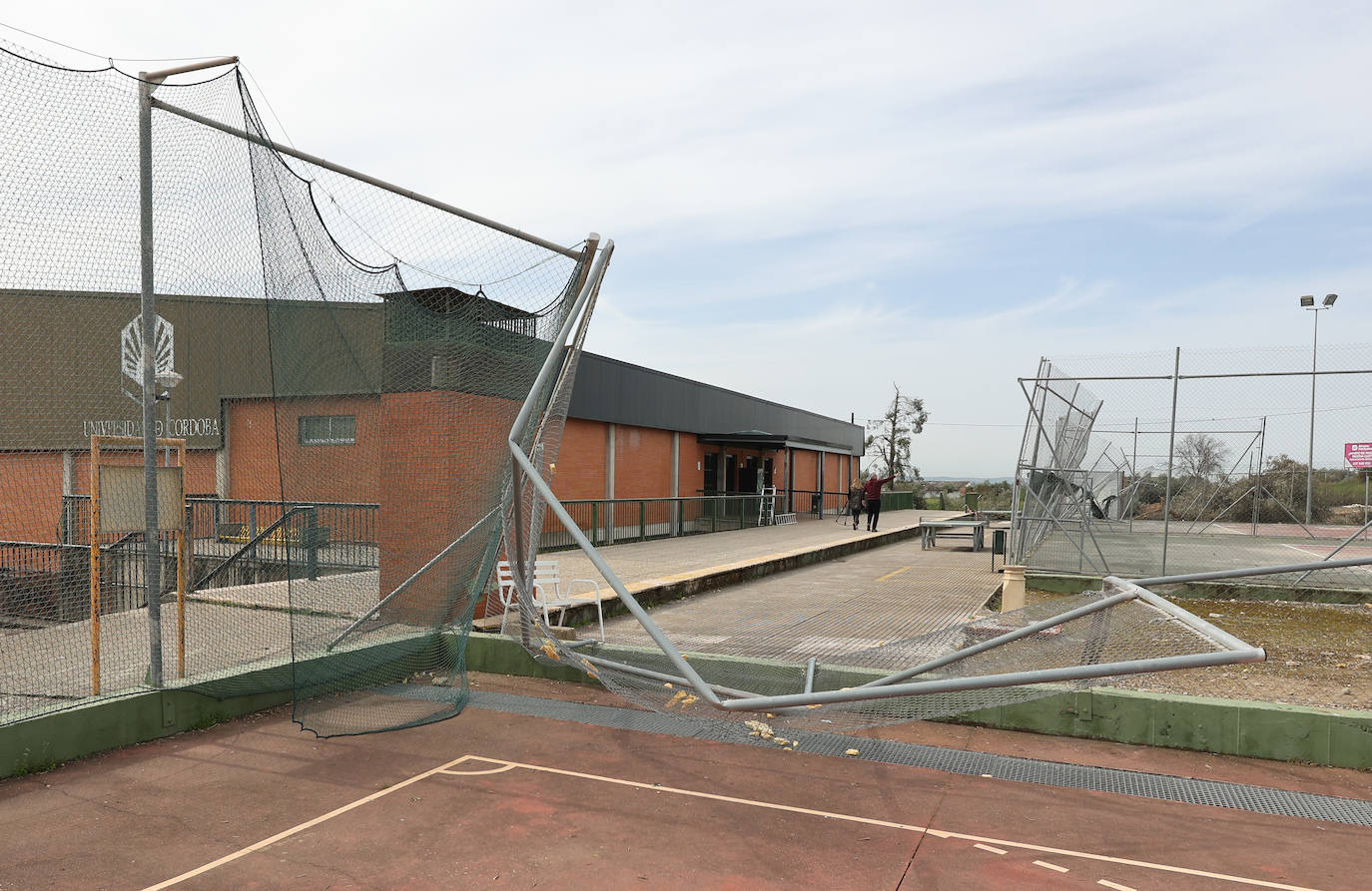 Fotos: en imágenes, los destrozos del tornado en las instalaciones de Ucodeporte en Córdoba