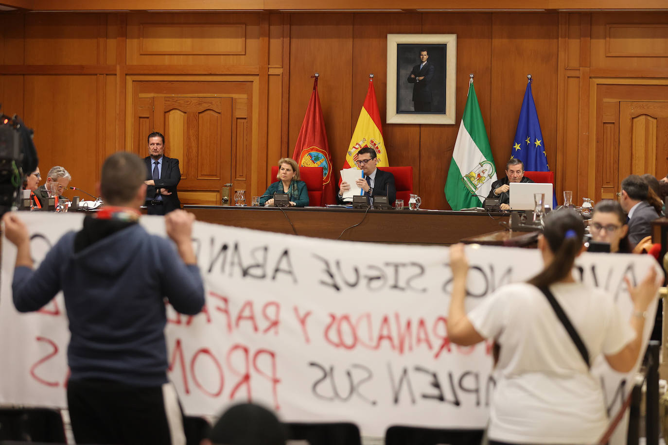 Fotos: el Pleno del Ayuntamiento de Córdoba