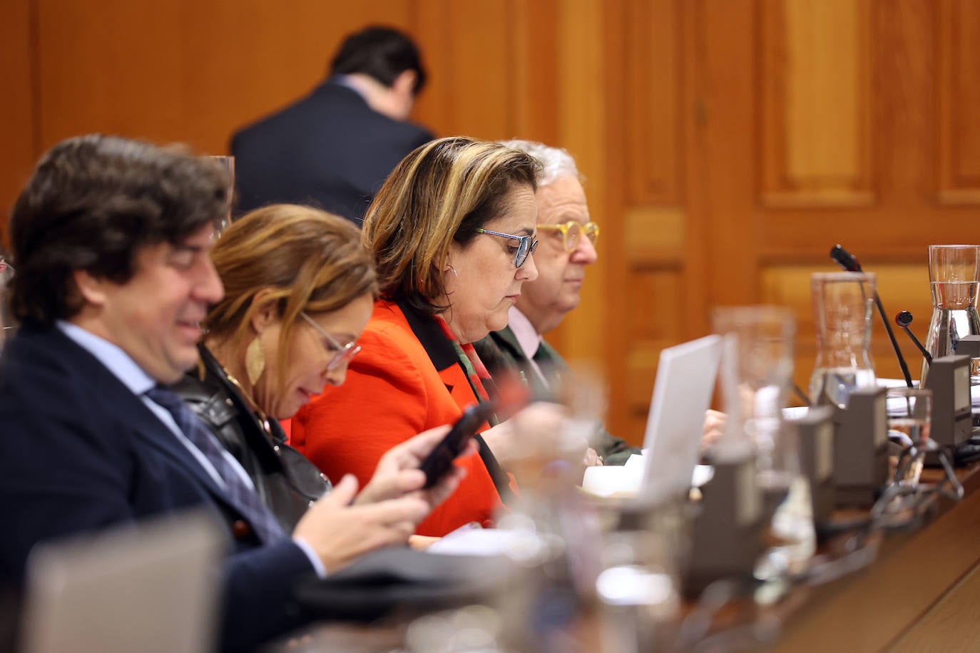 Fotos: el Pleno del Ayuntamiento de Córdoba