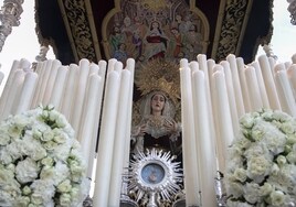 Hermandades del Domingo de Ramos de Córdoba
