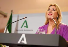 Carolina España se muestra a favor de crear un marco para que los municipios «puedan decidir si aplican o no la tasa turística»
