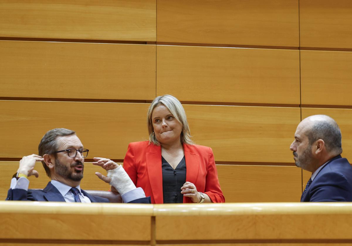 Javier Maroto, Maria del Mar Blanco y Pedro Rollán, presidente del Senado, durante un pleno