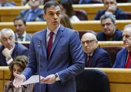 Choque surrealista en el Senado: el PSOE vota en contra de la tramitación de la ley de amnistía