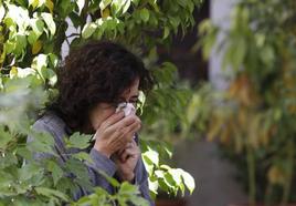 Arranca una primavera que será «moderada» para los alérgicos al polen en Córdoba