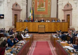 El consenso político en torno a la lucha contra violencia de género sigue roto en Andalucía