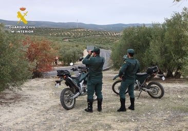 La Guardia Civil investiga a seis furtivos en Zuheros y Luque