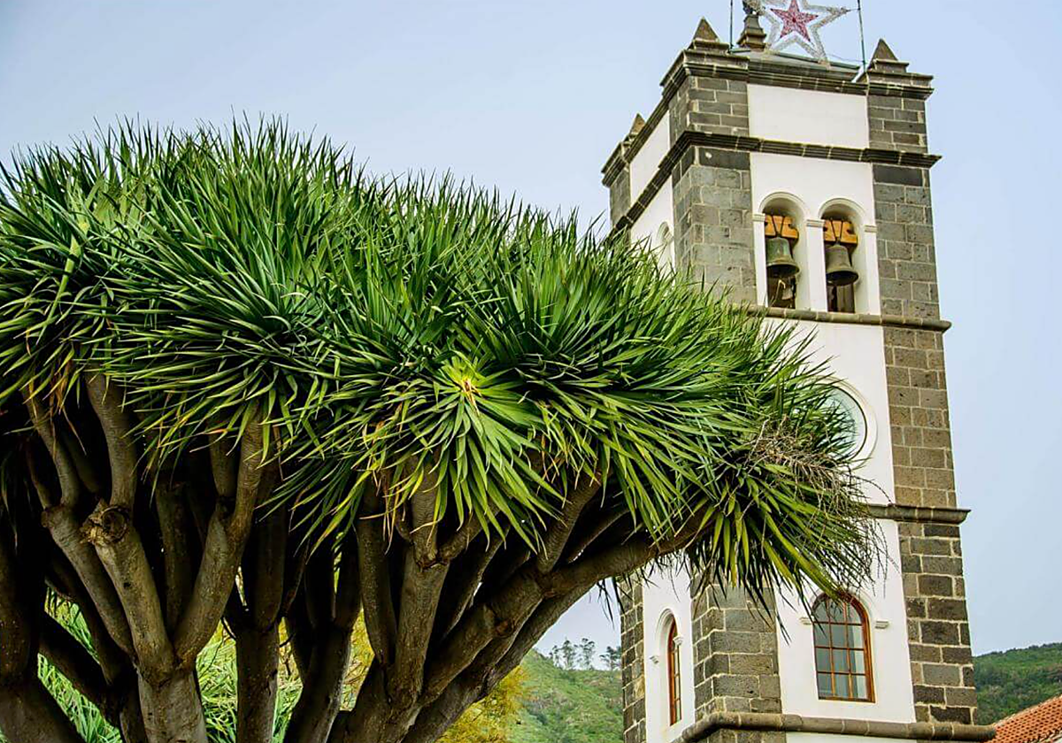 Campanario de la Iglesia de San Marcos Evangelista en Tegueste
