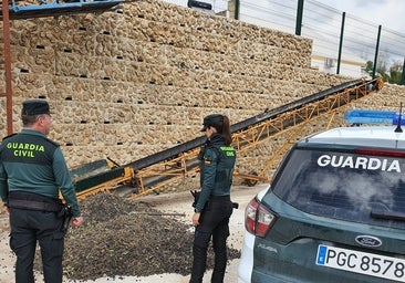 La Guardia Civil detiene a tres personas con 600 kilos de aceituna robada en una furgoneta en Espejo