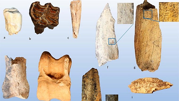 Descubren en Guadalajara al homo sapiens más antiguo que pobló la península ibérica