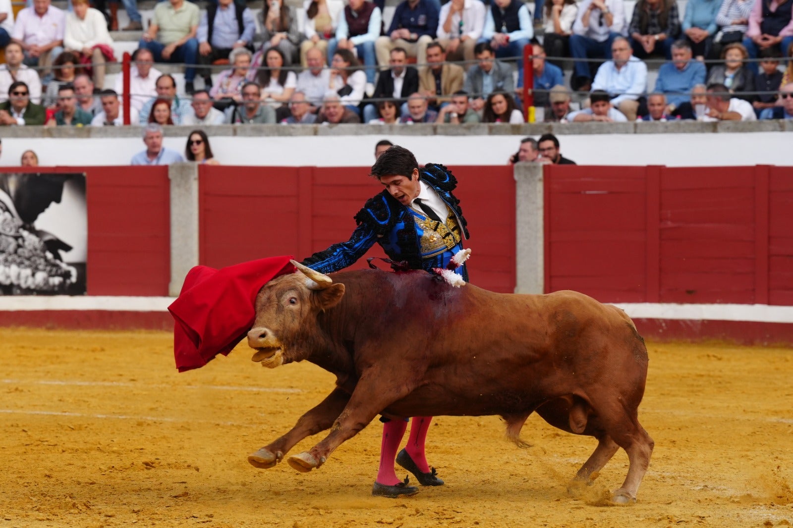 Fotos: pletórica tarde de toros en Pozoblanco con un Roca Rey superior