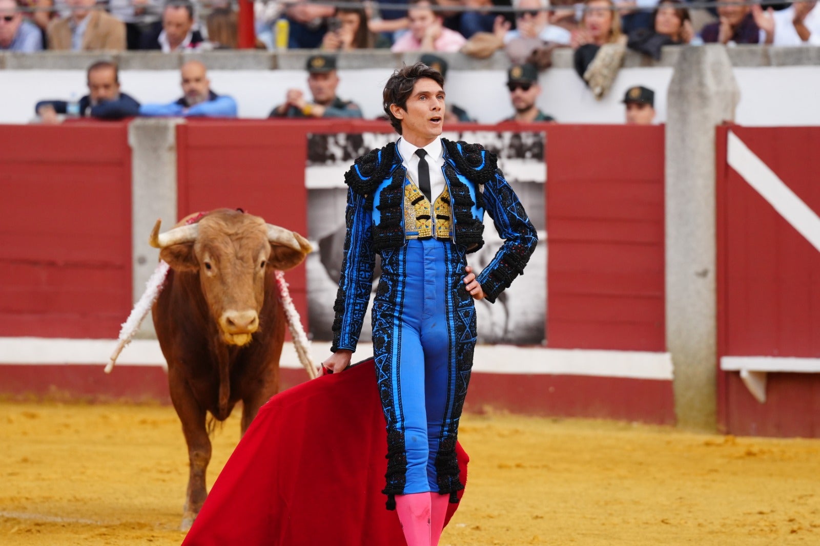 Fotos: pletórica tarde de toros en Pozoblanco con un Roca Rey superior