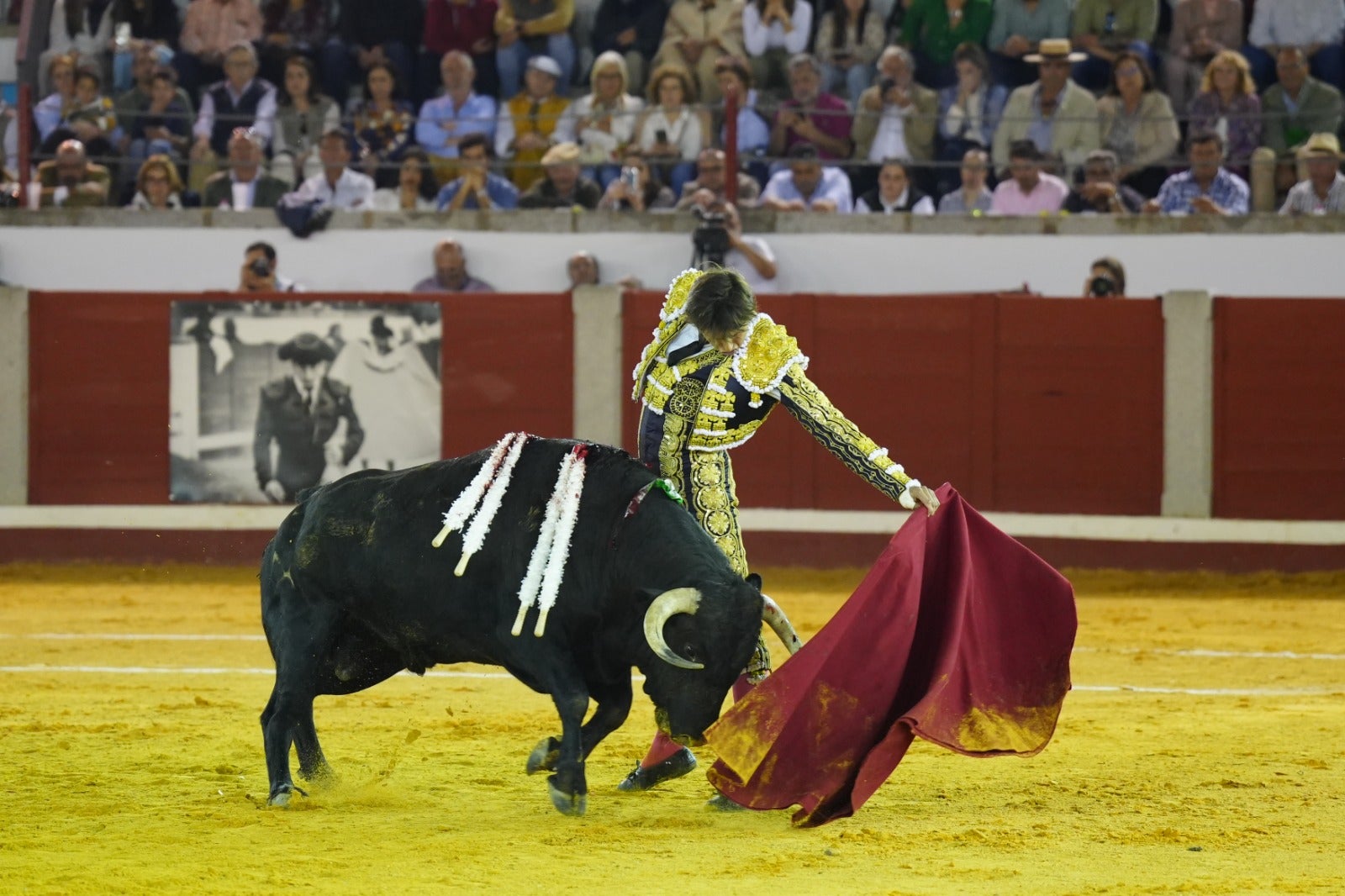 Fotos: pletórica tarde de toros en Pozoblanco con un Roca Rey superior