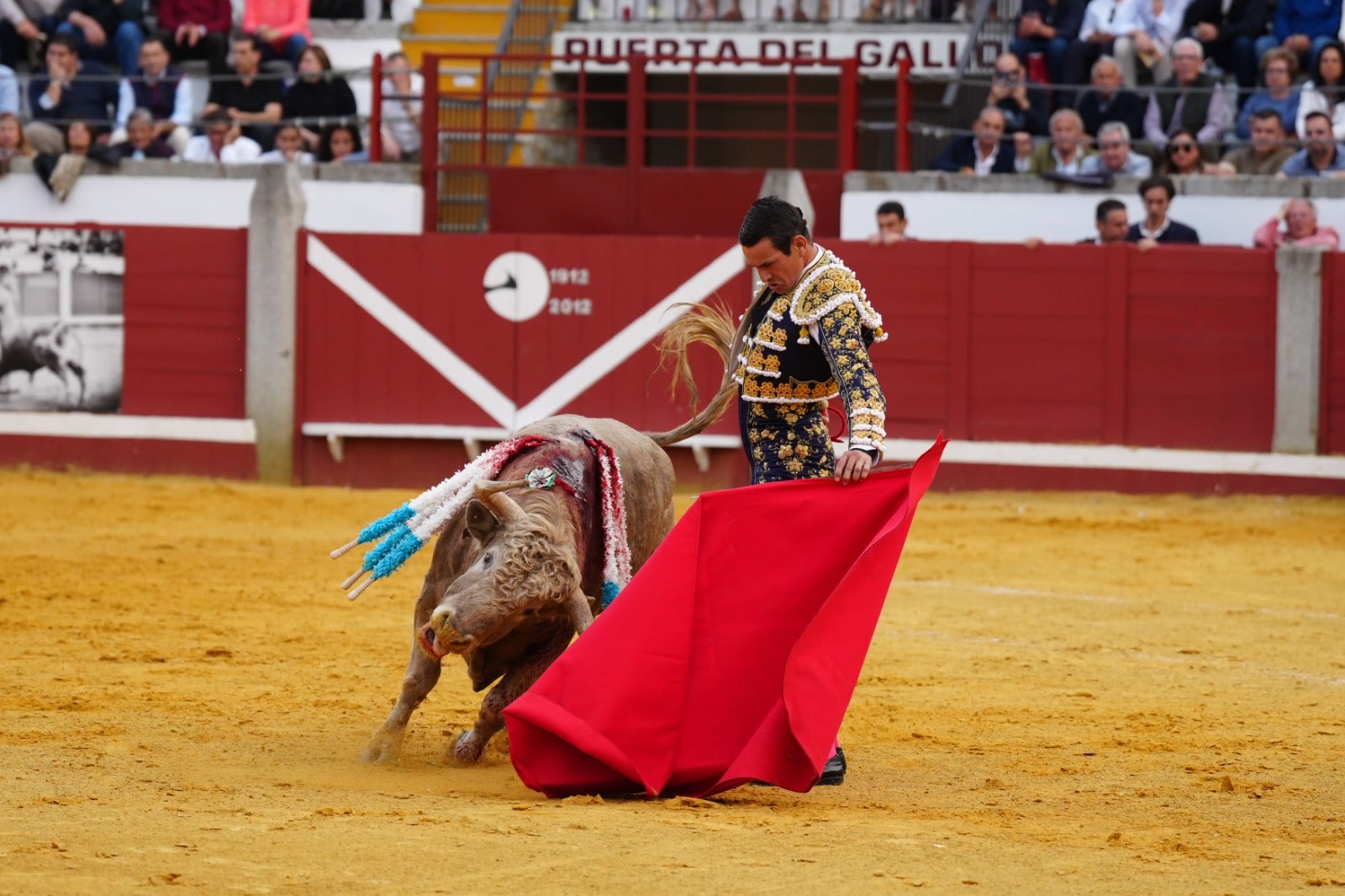 Fotos: pletórica tarde de toros en Pozoblanco con un Roca Rey superior