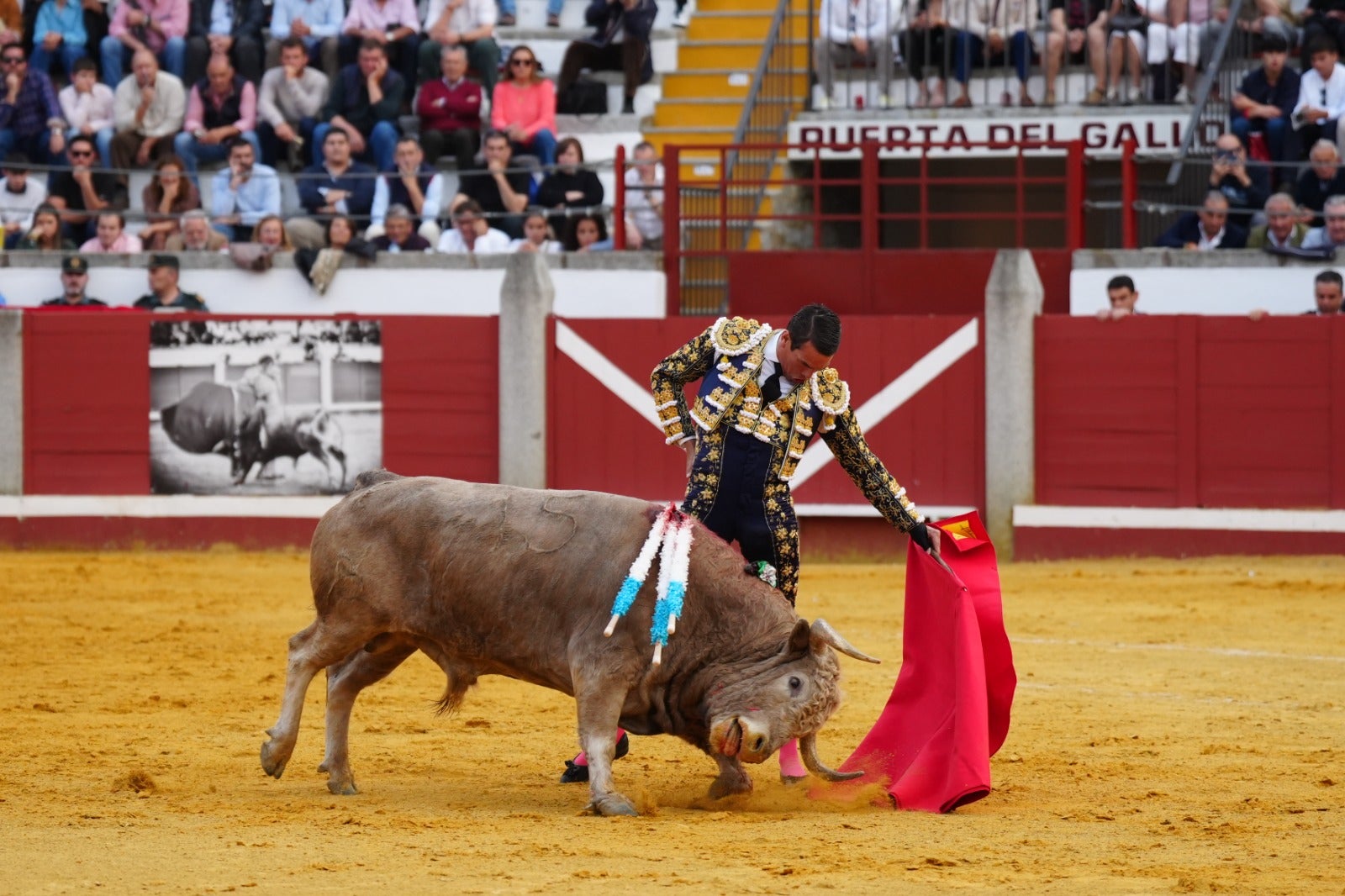 Fotos: pletórica tarde de toros en Pozoblanco con un Roca Rey superior