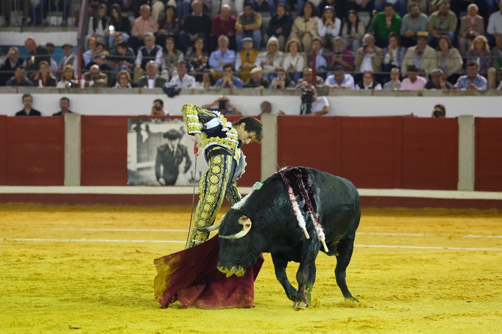 Fotos: pletórica tarde de toros en Pozoblanco con un Roca Rey superior