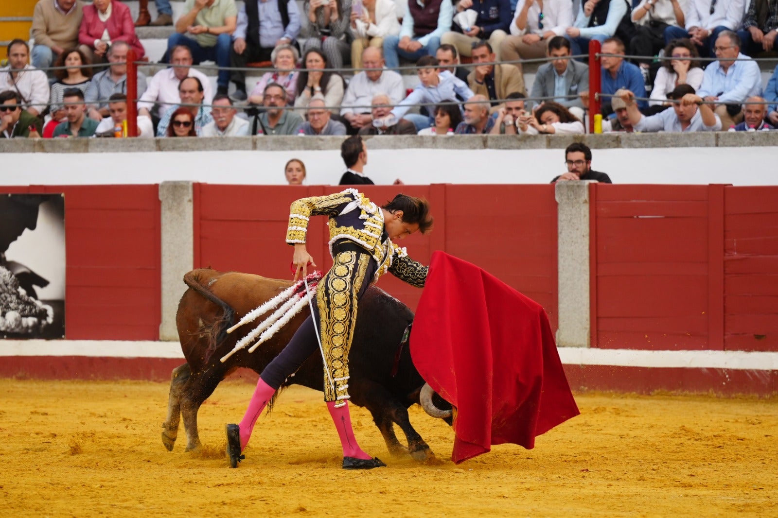Fotos: pletórica tarde de toros en Pozoblanco con un Roca Rey superior