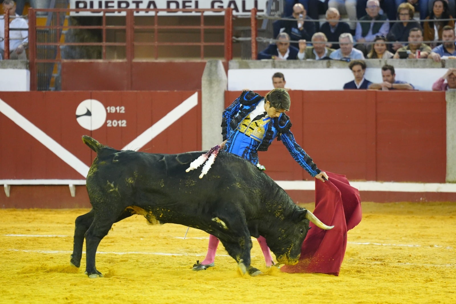 Fotos: pletórica tarde de toros en Pozoblanco con un Roca Rey superior