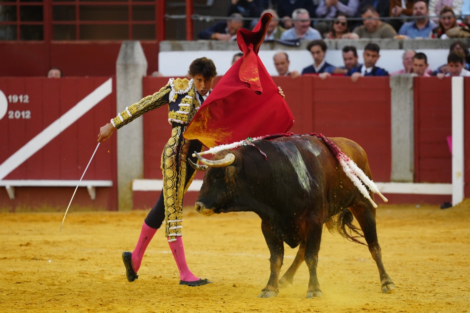 Fotos: pletórica tarde de toros en Pozoblanco con un Roca Rey superior