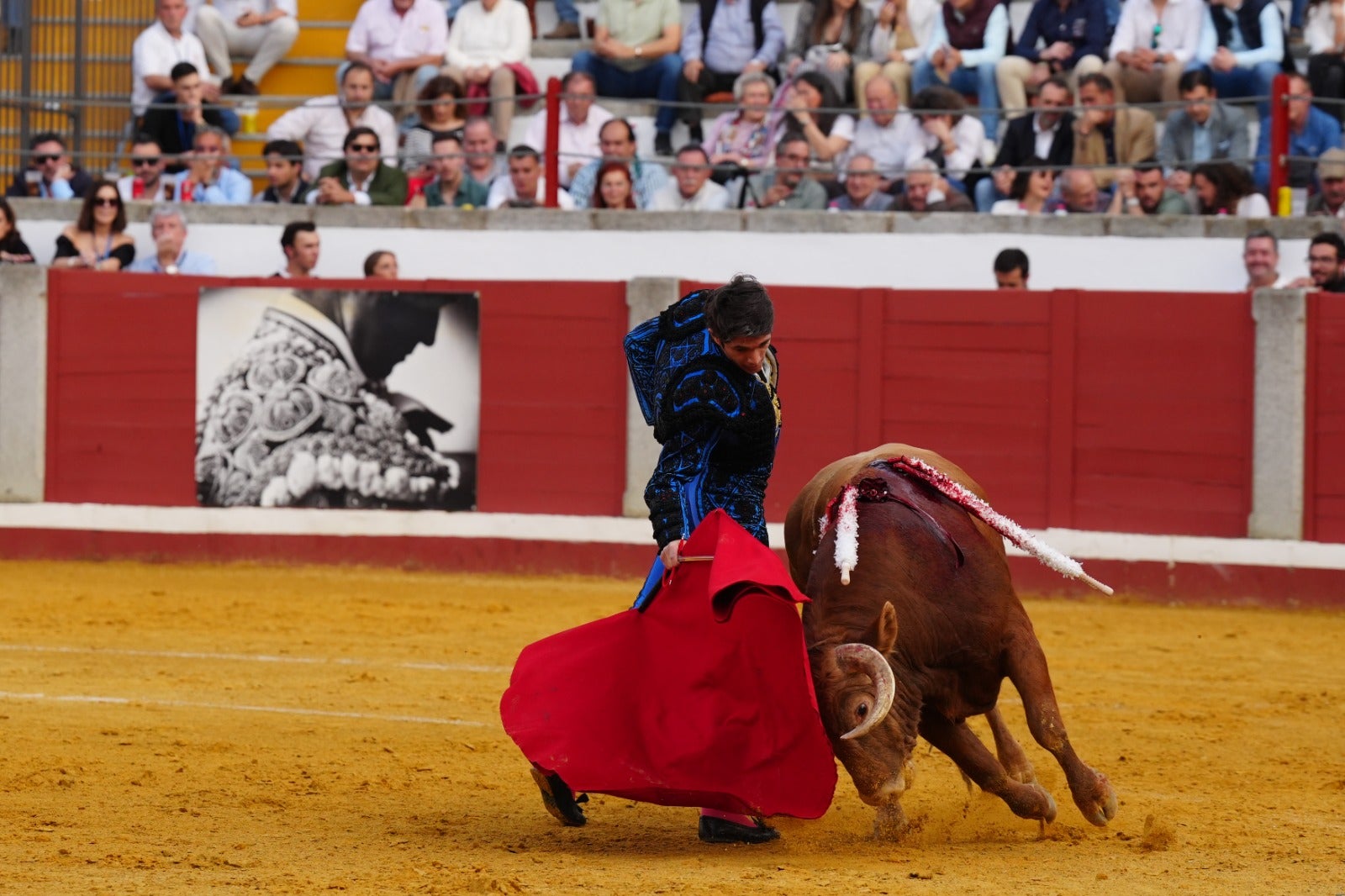 Fotos: pletórica tarde de toros en Pozoblanco con un Roca Rey superior