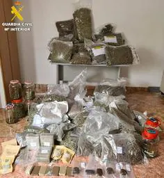 Detenido el joven propietario de una empresa valenciana de paquetería tras recibir dos bultos con más de 12 kilos de marihuana