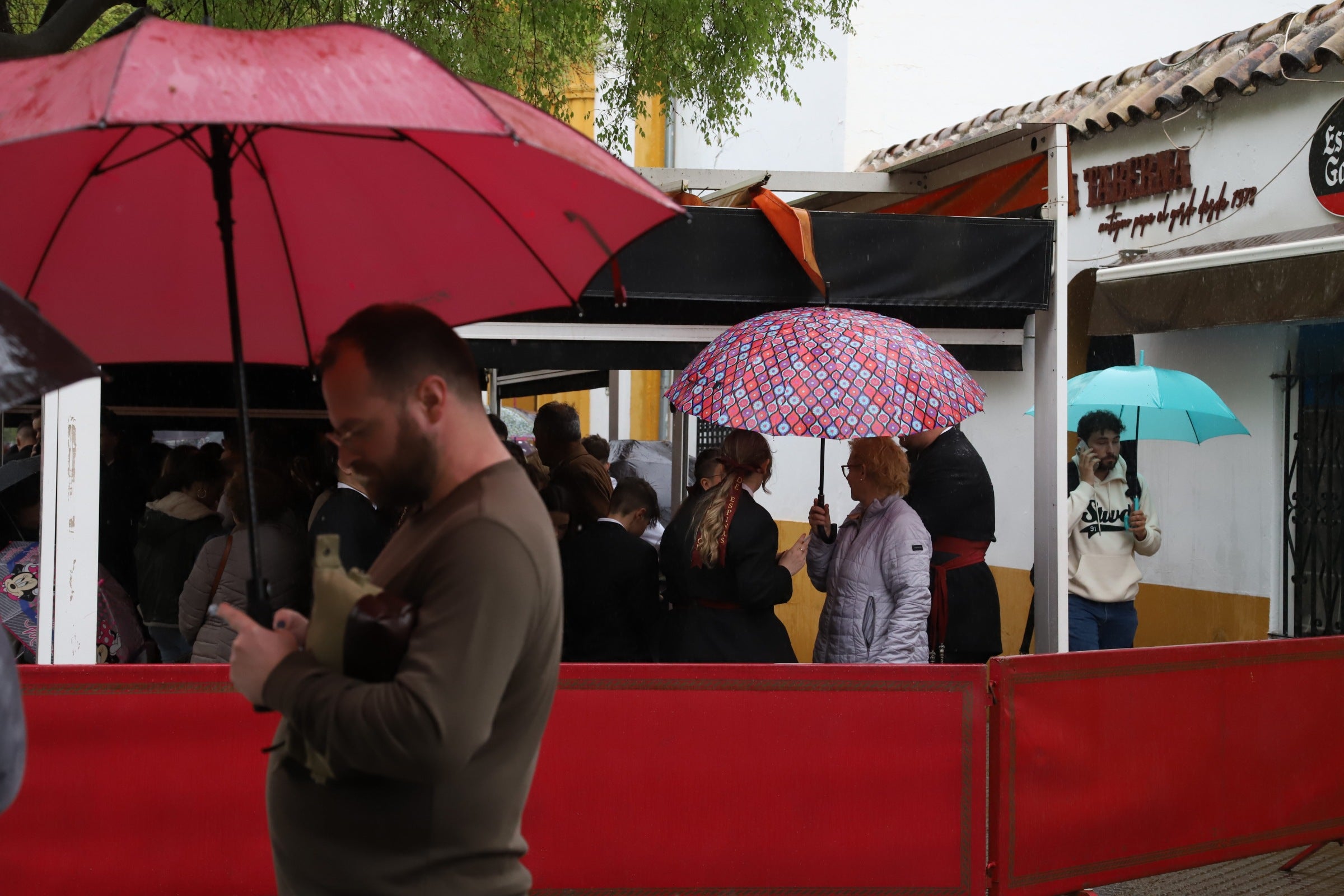 Las imágenes de la hermandad de la Merced de la Semana Santa de Córdoba 2024