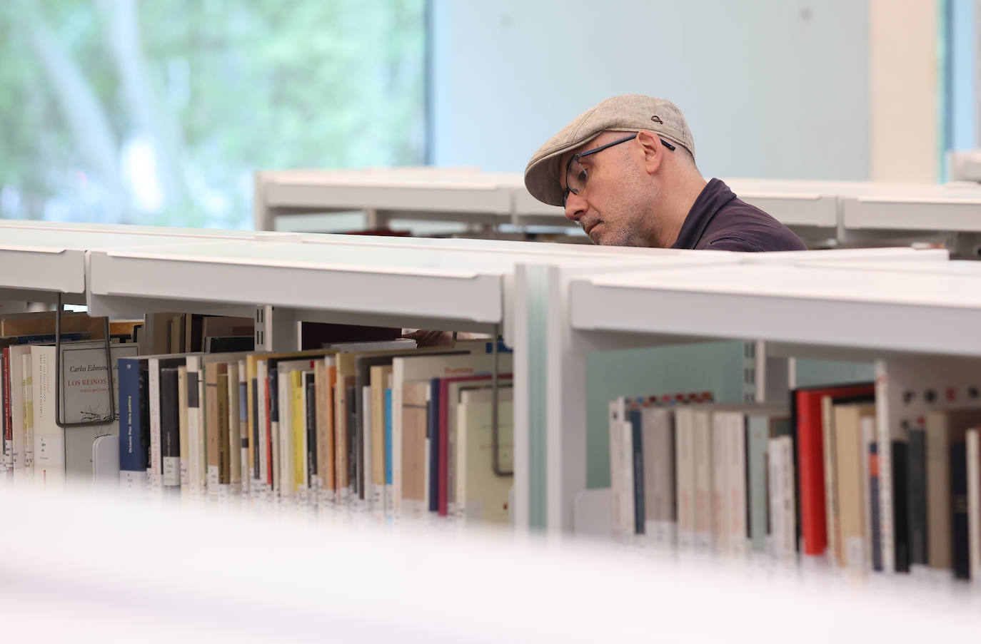 Fotos: Un paseo por la Biblioteca Grupo Cántico de Córdoba