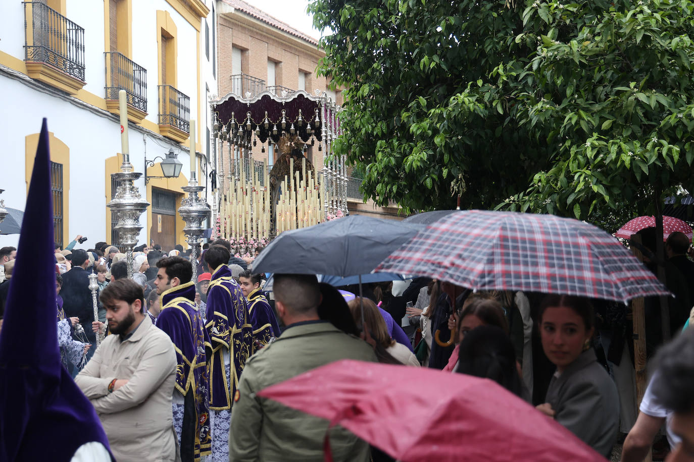 Las imágenes de la hermandad de la Sangre de la Semana Santa de Córdoba 2024