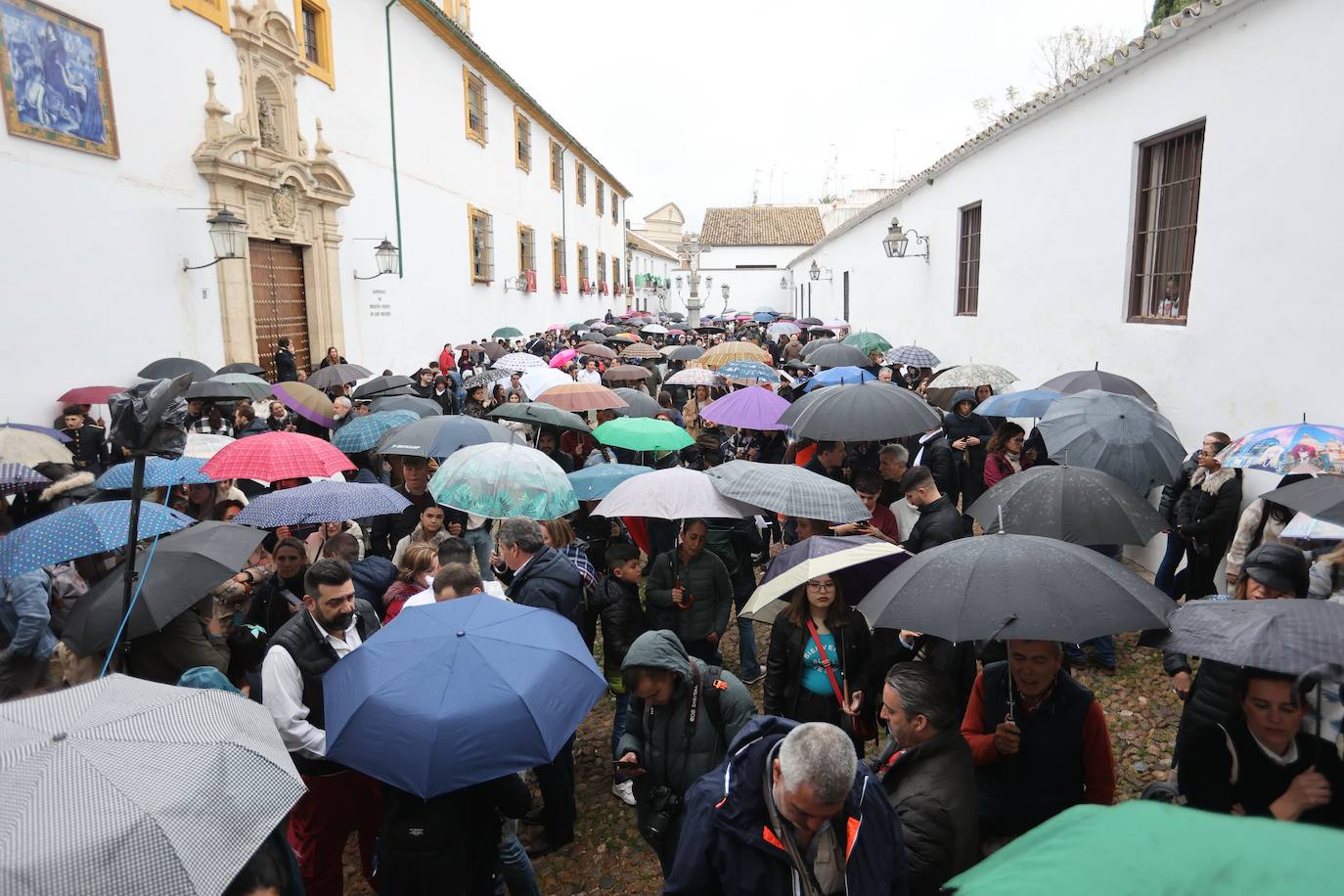 Las imágenes de la hermandad de la Paz de la Semana Santa de Córdoba 2024
