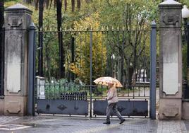 Alerta amarilla por fuertes vientos en Córdoba: el Ayuntamiento cierra los parques por rachas de 70 kilómetros por hora