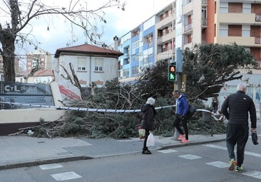 La borrasca Nelson obliga a activar avisos por lluvia, viento o nieve en todas las provincias menos Segovia