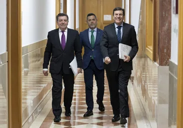 González Gago, López Revuelta y Fernández Carriedo, ayer en la Junta