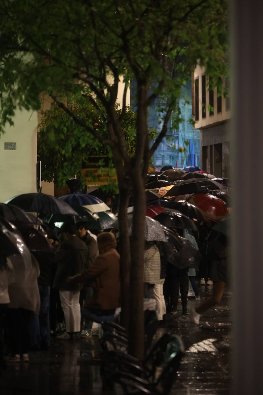 Las imágenes de la hermandad del Santo Sepulcro de la Semana Santa de Córdoba 2024