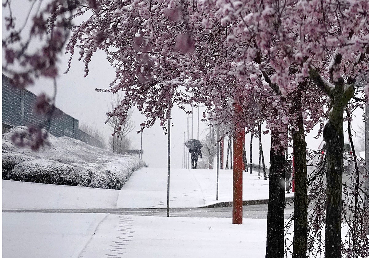 Imagen de archivo de nieve