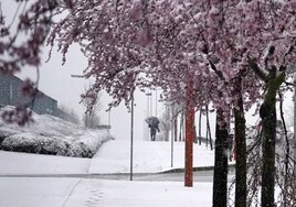 El viento sopla a 135 kilómetros por hora en Castilla y León que entrará en el horario de verano bajo nieve