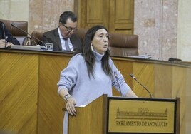 La Junta de Andalucía hará un protocolo para prevenir abusos sexuales a menores en centros de protección