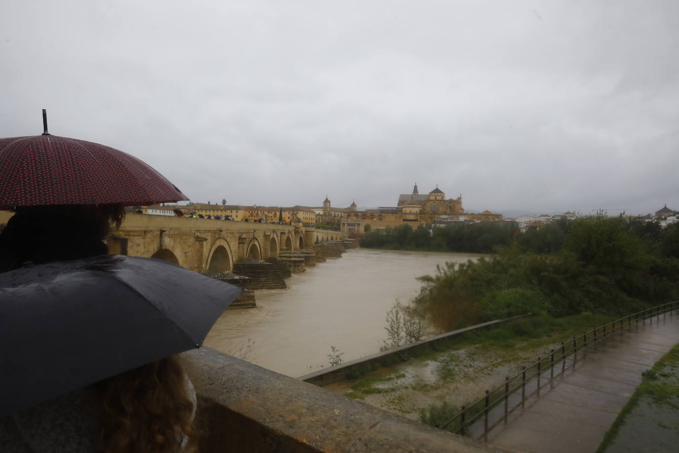 Fotos: la gran crecida del Guadalquivir a su paso por Córdoba