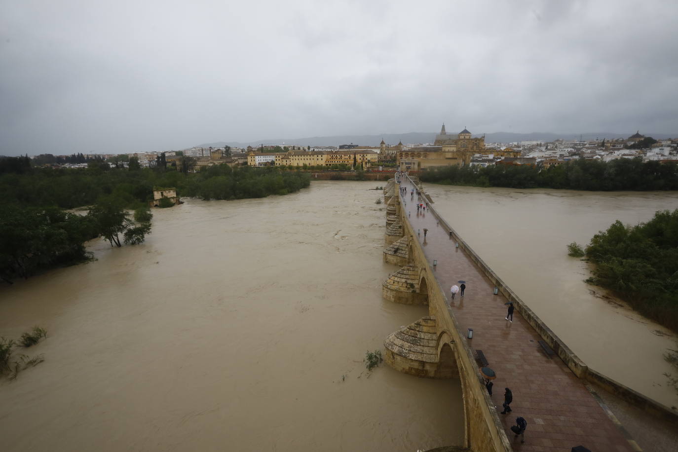 Fotos: la gran crecida del Guadalquivir a su paso por Córdoba