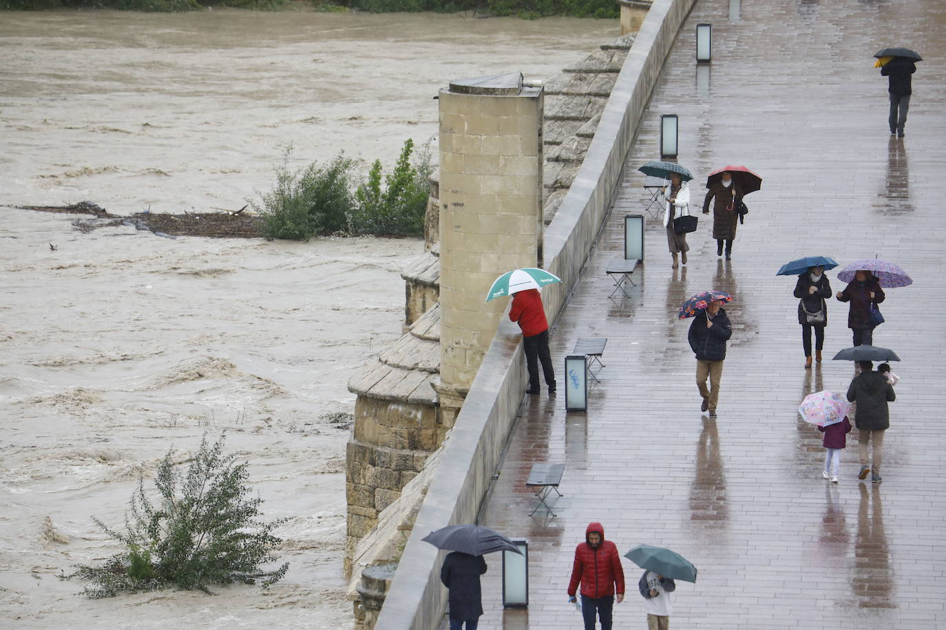 Fotos: la gran crecida del Guadalquivir a su paso por Córdoba