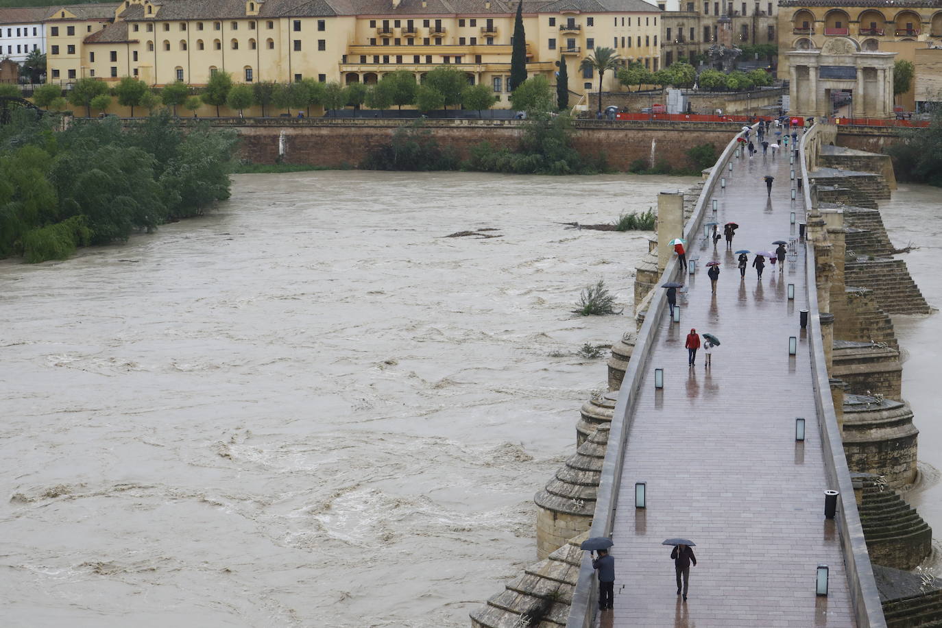 Fotos: la gran crecida del Guadalquivir a su paso por Córdoba