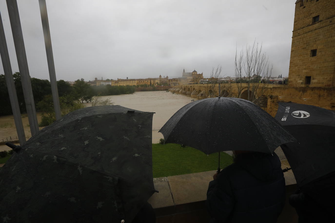 Fotos: la gran crecida del Guadalquivir a su paso por Córdoba