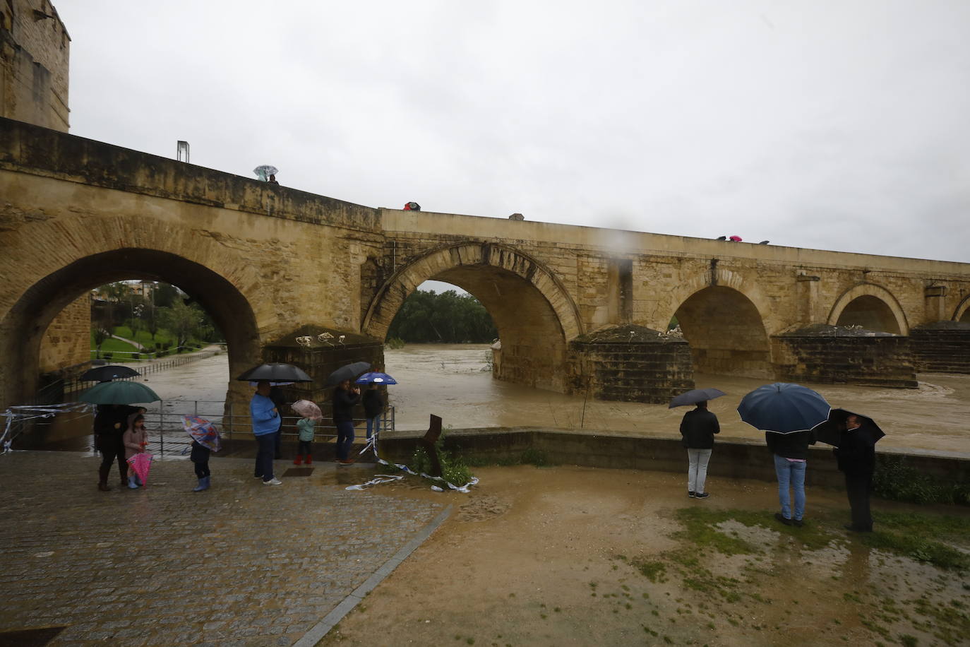 Fotos: la gran crecida del Guadalquivir a su paso por Córdoba