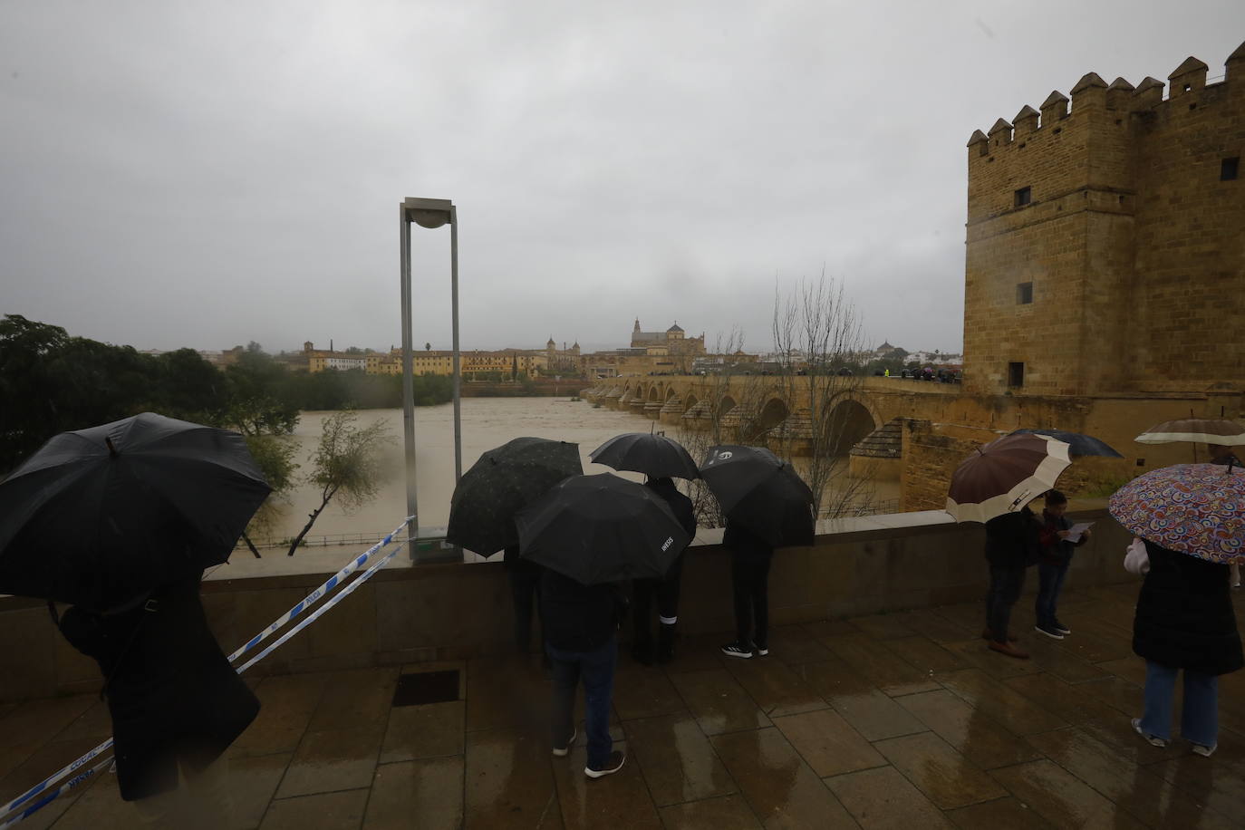 Fotos: la gran crecida del Guadalquivir a su paso por Córdoba