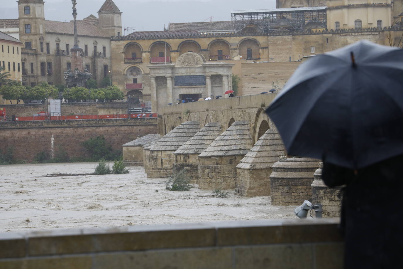 Fotos: la gran crecida del Guadalquivir a su paso por Córdoba