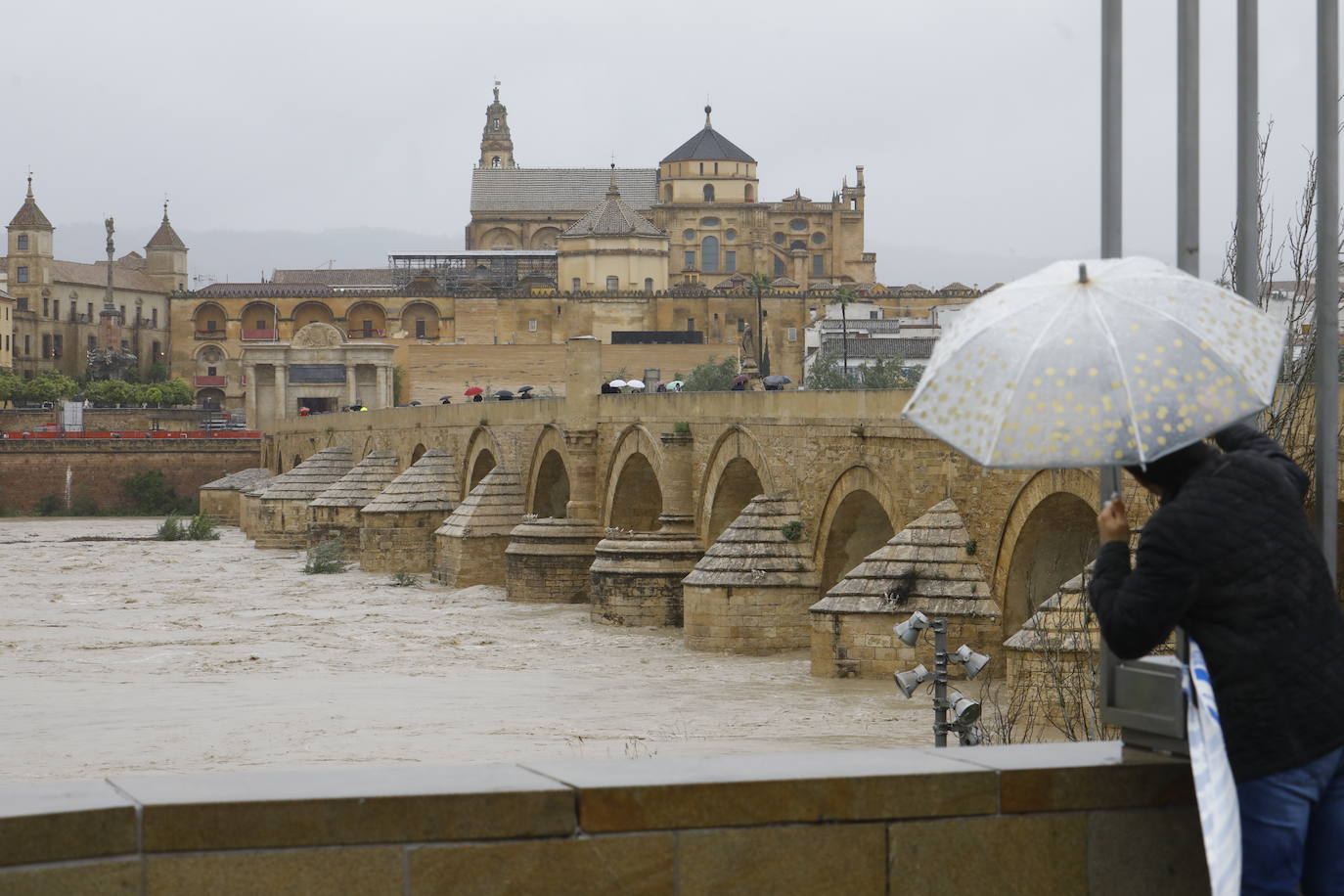 Fotos: la gran crecida del Guadalquivir a su paso por Córdoba