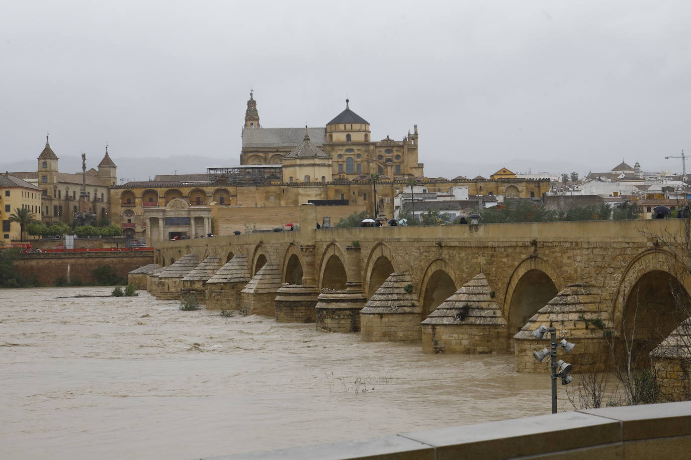 Fotos: la gran crecida del Guadalquivir a su paso por Córdoba