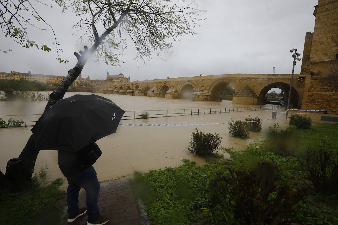 Fotos: la gran crecida del Guadalquivir a su paso por Córdoba