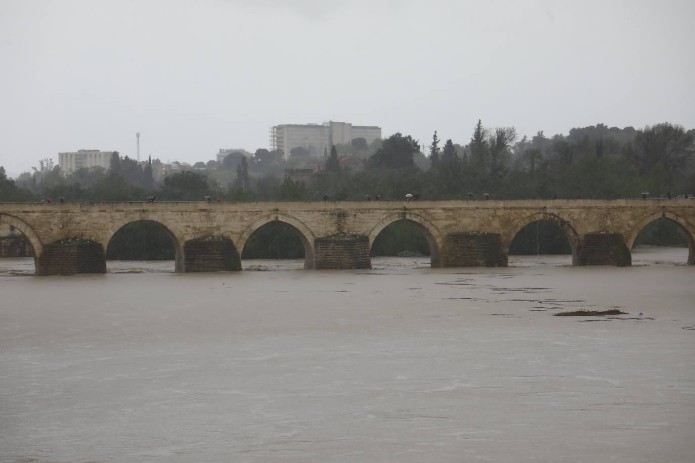 Fotos: la gran crecida del Guadalquivir a su paso por Córdoba