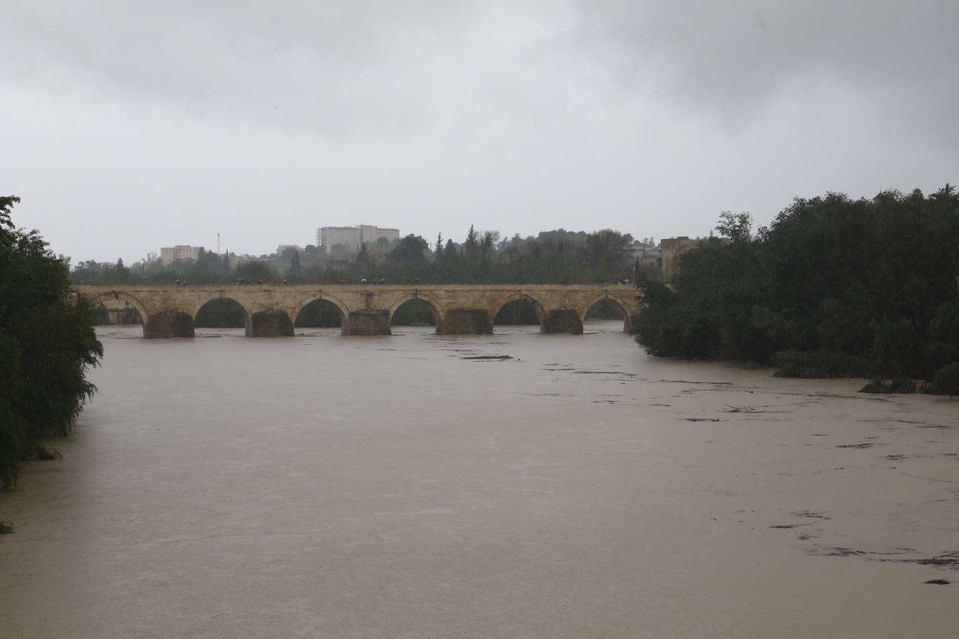 Fotos: la gran crecida del Guadalquivir a su paso por Córdoba