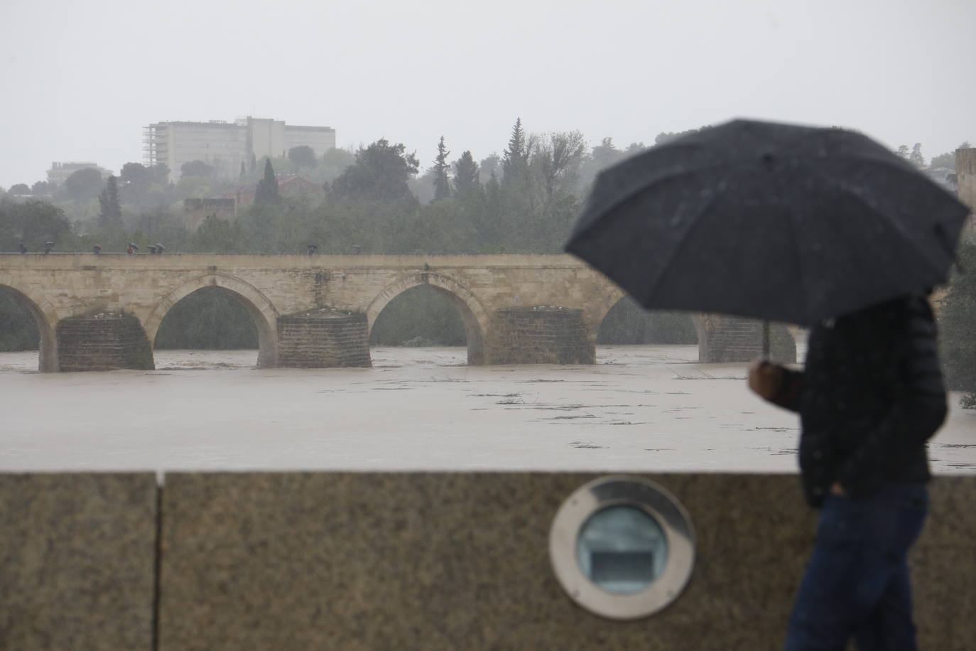 Fotos: la gran crecida del Guadalquivir a su paso por Córdoba